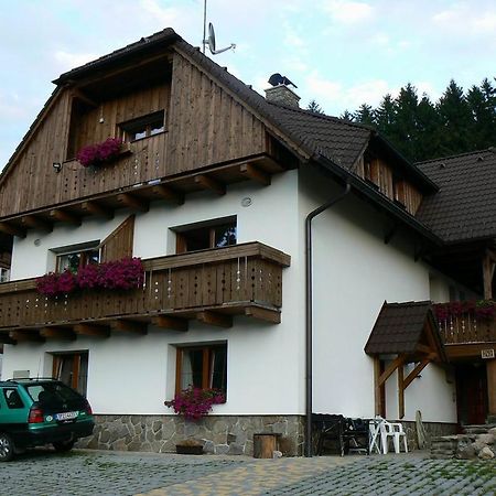Apartmany U Vacu Zelezna Ruda Exterior photo